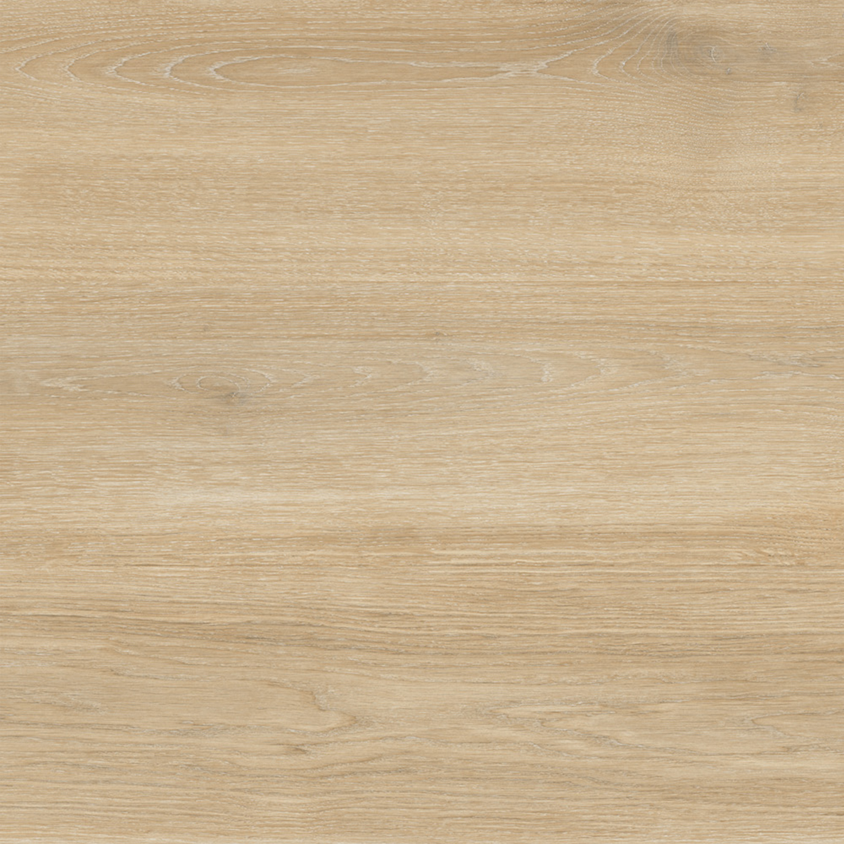 NOVOCERAM BOTANIQUE CONCEPT Lin 20x120cm ép. 9.5mm - Intérieur